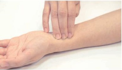 脈拍の測り方：押え方