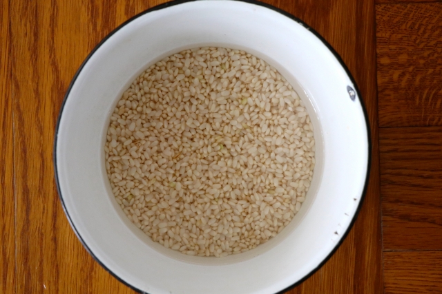 水に浸した発芽玄米
